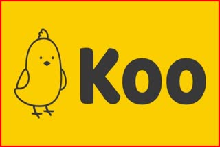 Koo new features