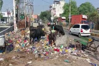 Pile of garbage in Faridabad