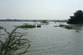 Ailapur pond