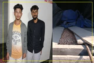 Burmese Supari Seized in Cachar