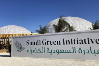 Saudi Arabia has ''green vision'' at COP27, critics unmoved