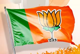 Gujarat Assembly Election 2022 : ભાજપે યુવાનોને આપી તક, 42 વર્ષથી નીચેના 15 લોકોને મળી ટિકિટ