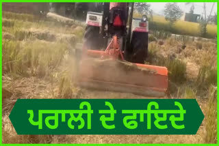 Balwinder Singh a farmer of Moga