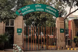 MP government big relief from NGT