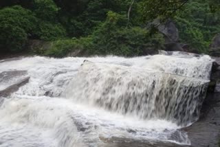 Coimbathore  kovai Courtallam  waterfall  heavy rain  കനത്ത മഴ  കോവൈ  കുട്രാളം  വിനോദസഞ്ചാരി  വൃഷ്‌ടി പ്രദേശത്ത്  മഴ  കോയമ്പത്തൂര്‍  വനം വകുപ്പ്