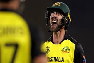 glenn-maxwell-has-fractured-his-leg-in-a-freak-accident-at-a-friends-birthday-party