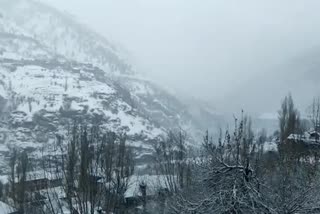 himachal weather update