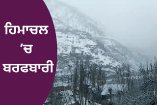 himachal weather update