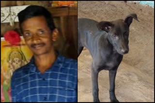 dog that saved its owners life in Shimoga