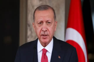 Turkish President Tayyip Erdogan