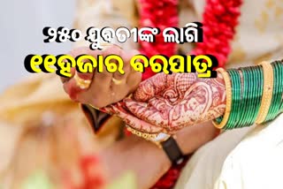 Bride-Groom Convention: ୨୫୦ ଯୁବତୀଙ୍କୁ ବିବାହ ପାଇଁ ଲାଇନ ଲଗାଇଲେ ୧୧ହଜାର ଚାଷୀପୁଅ