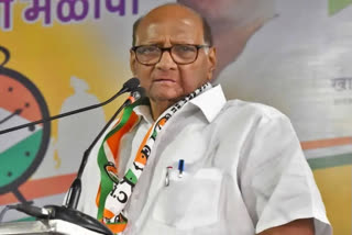 Sharad Pawar to lead NCP's Gujarat poll campaign