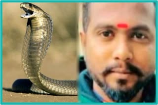 Snake Charmer Died