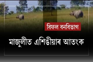 Rhino Roaming in Majuli