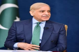 Pakistan PM Shehbaz Sharif