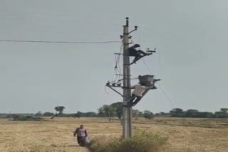 sarpanch attacking linemen