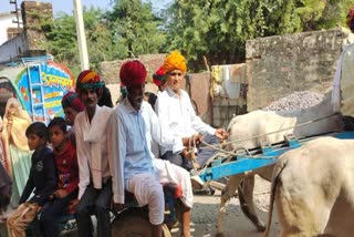 Brothers reached sister house by bullock cart, BJP MLA Gopal Khandelwal drove bullock cart