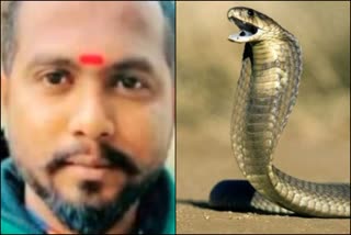 nashik snake catcher lost his life