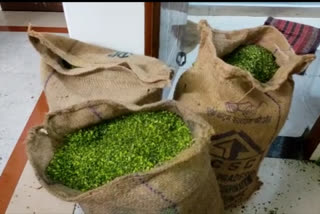 Maharashtra: Police raid on factory unearths counterfeit pistachios