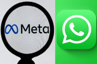 whatsapp  വാട്‌സാപ്പ് ഇന്ത്യ  മെറ്റ പബ്ലിക് പോളിസി  മെറ്റ പബ്ലിക് പോളിസി ഡയറക്‌ടര്‍ രാജിവച്ചു  വാട്‌സാപ്പ് ഇന്ത്യ തലവന്‍ രാജിവച്ചു  WhatsApp India Head Resigned  Meta India Public Policy Chief Resigned