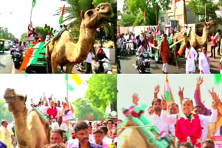 Cong candidate went to file nomination on a camel cart