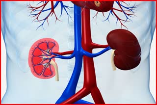 New test for kidney disease