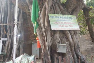 Shaniwar Wada Dargah