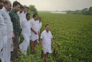 முன்னாள் அமைச்சர் ஓ.எஸ்.மணியன் ஆய்வு