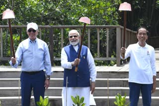 PM Modi plants mangroves in Taman Hutan Raya Ngurah Rai mangrove forest in Bali