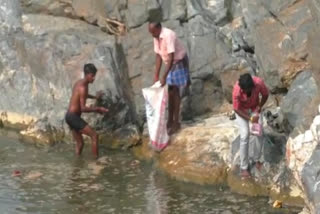 Chemical wastage  mettur water  Chemical wastage mixed with mettur water  fishes died  fishes  Chemical  salem  salem news  salem latest news  மேட்டூர்  உபரி நீர்  மேட்டூர் உபரி நீர் பாதை  செத்து மிதக்கும் மீன்கள்  மீன்கள்  ரசாயன கழிவு  சிட்கோ  அனல் மின் நிலையம்