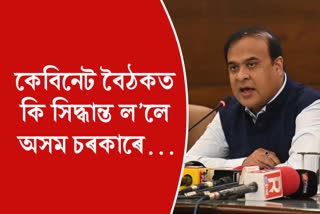 Assam Govt new cabinet decisions