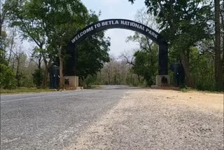 Palamu Tiger Reserve