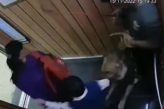 dog bites boy in lift