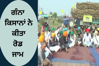 Sugarcane farmers blocked the main road at Hoshiarpur