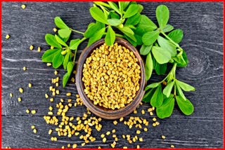 Benefits of Fenugreek Leaves