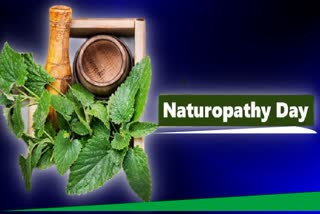 Naturopathy Day: ପ୍ରାକୃତିକ ଚିକିତ୍ସାକୁ ଉତ୍ସାହିତ କରେ ନାଚ୍ୟୁରପାଥି ଦିବସ