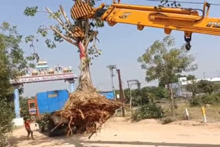 planting trees in other areas in nizamabad