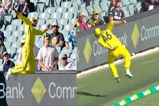 aus vs eng ashton agar