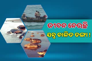 Olive Ridley turtles are endangered due to trawlers and machine boat fishing in Restricted area of Puri