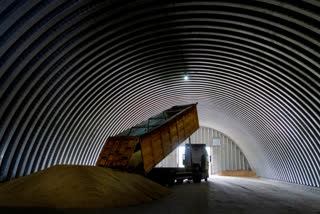 Russia Ukraine grain deal extended in win for food prices
