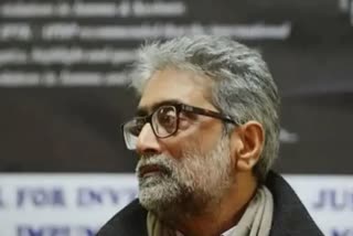 gautam navlakha