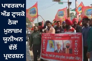 contract employees union against the Punjab government