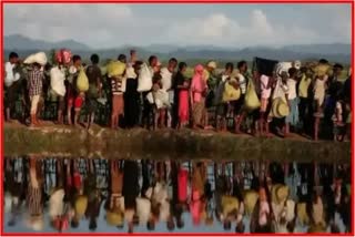 Rohingya citizens were detained