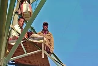 satna farmers climbed on tower