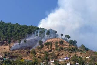 kullu forest fire