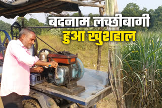 Sugarcane cultivation in Giridih