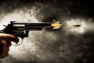 नालंदा में उपसरपंच पति की गोली मारकर हत्या