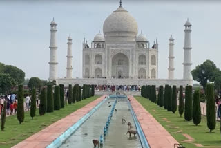 Free entry begins at Taj Mahal, other monuments in UP on World Heritage Week