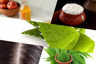 Dandruff Home Remedies