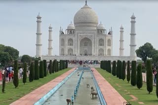 world heritage week free entry today in all monuments of agra including taj mahal agra fort